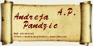 Andreja Pandžić vizit kartica